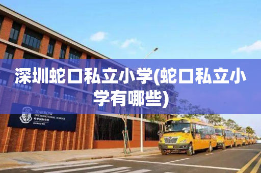 深圳蛇口私立小学(蛇口私立小学有哪些)