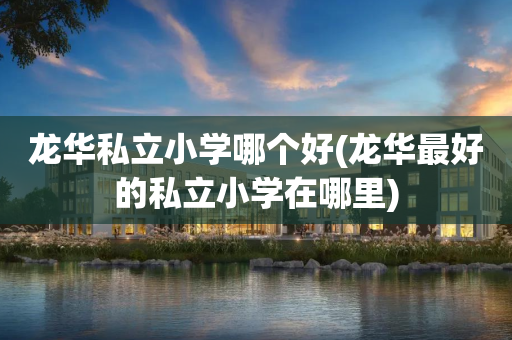 龙华私立小学哪个好(龙华最好的私立小学在哪里)