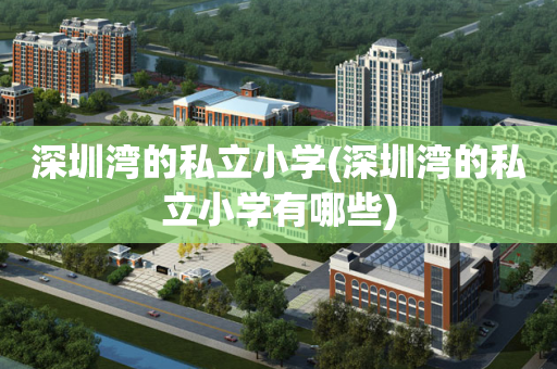 深圳湾的私立小学(深圳湾的私立小学有哪些)
