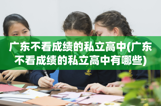 广东不看成绩的私立高中(广东不看成绩的私立高中有哪些)