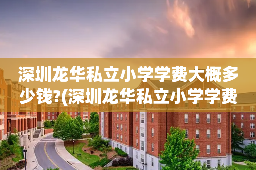 深圳龙华私立小学学费大概多少钱?(深圳龙华私立小学学费大概多少钱一个学期)