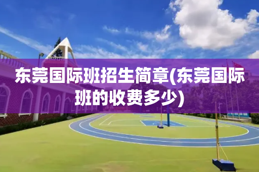 东莞国际班招生简章(东莞国际班的收费多少)