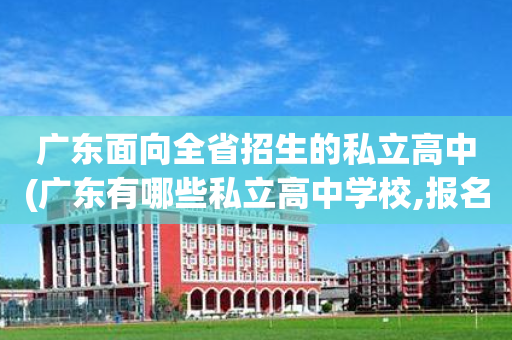 广东面向全省招生的私立高中(广东有哪些私立高中学校,报名费多少呀)
