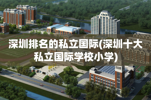 深圳排名的私立国际(深圳十大私立国际学校小学)
