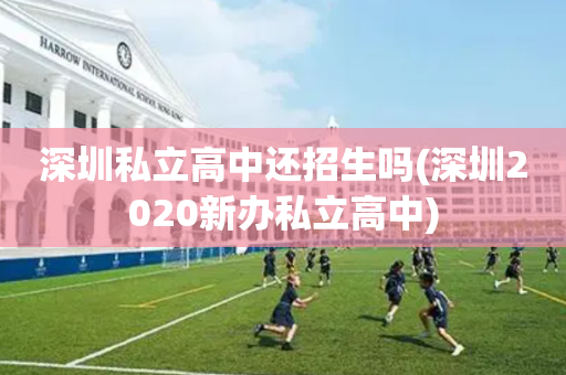 深圳私立高中还招生吗(深圳2020新办私立高中)