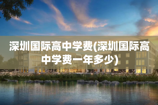 深圳国际高中学费(深圳国际高中学费一年多少)
