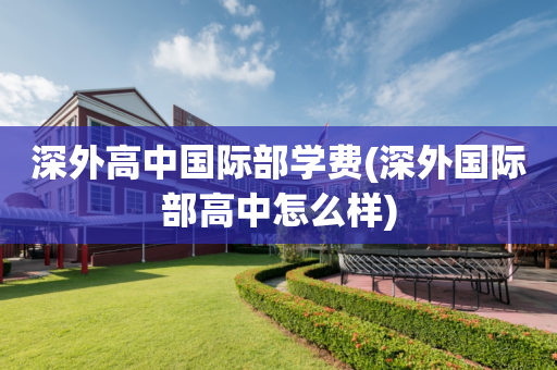 深外高中国际部学费(深外国际部高中怎么样)