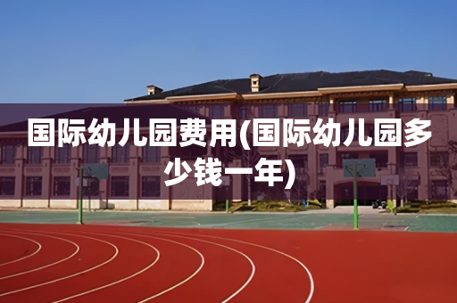 国际幼儿园费用(国际幼儿园多少钱一年)