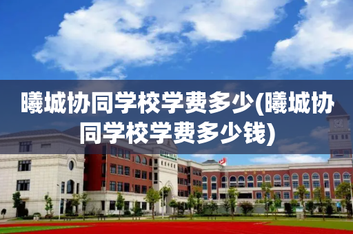 曦城协同学校学费多少(曦城协同学校学费多少钱)