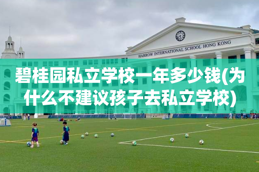 碧桂园私立学校一年多少钱(为什么不建议孩子去私立学校)