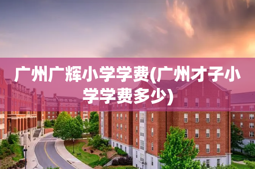 广州广辉小学学费(广州才子小学学费多少)