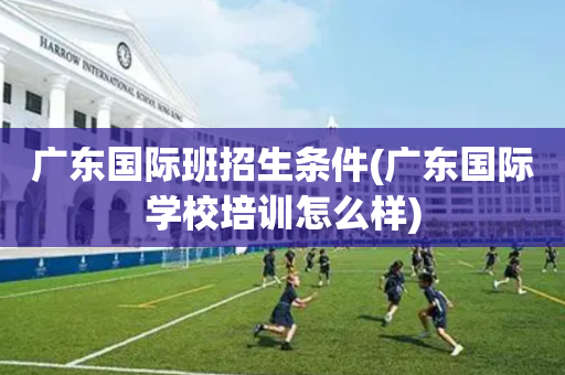 广东国际班招生条件(广东国际学校培训怎么样)