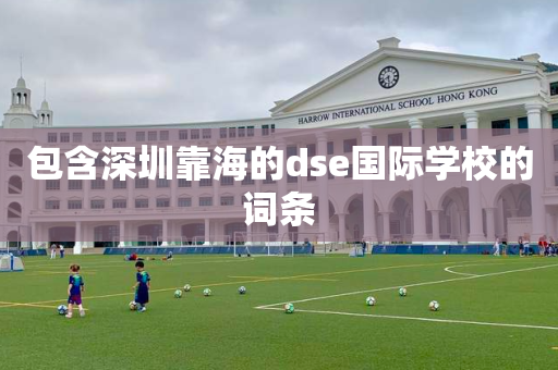 包含深圳靠海的dse国际学校的词条