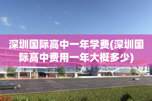 深圳国际高中一年学费(深圳国际高中费用一年大概多少)