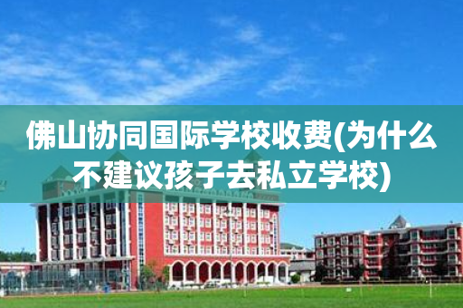佛山协同国际学校收费(为什么不建议孩子去私立学校)