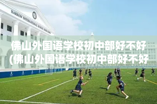佛山外国语学校初中部好不好(佛山外国语学校初中部好不好进)