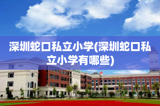 深圳蛇口私立小学(深圳蛇口私立小学有哪些)