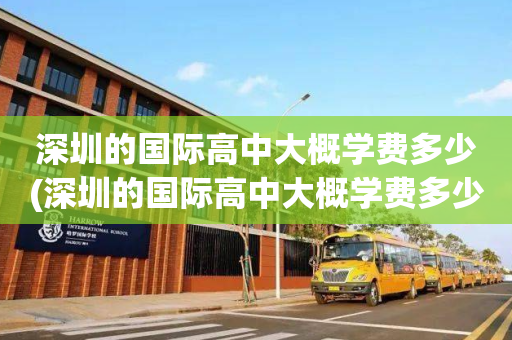 深圳的国际高中大概学费多少(深圳的国际高中大概学费多少钱一年)