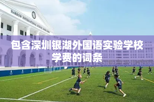包含深圳银湖外国语实验学校学费的词条
