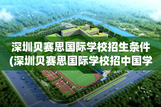 深圳贝赛思国际学校招生条件(深圳贝赛思国际学校招中国学生吗)