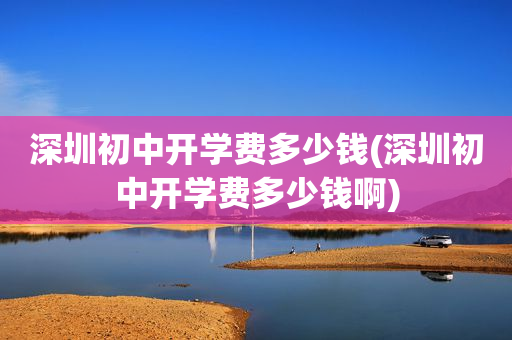 深圳初中开学费多少钱(深圳初中开学费多少钱啊)
