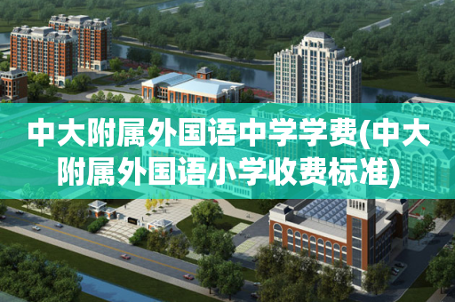 中大附属外国语中学学费(中大附属外国语小学收费标准)