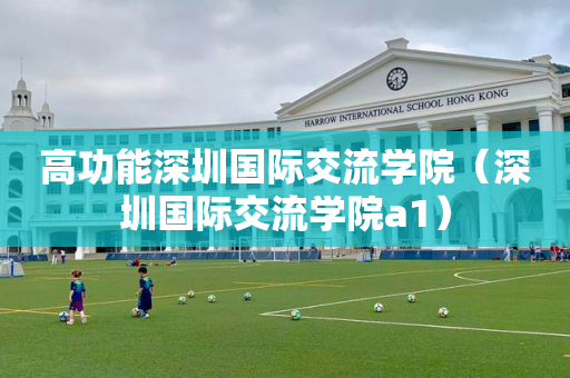 高功能深圳国际交流学院（深圳国际交流学院a1）