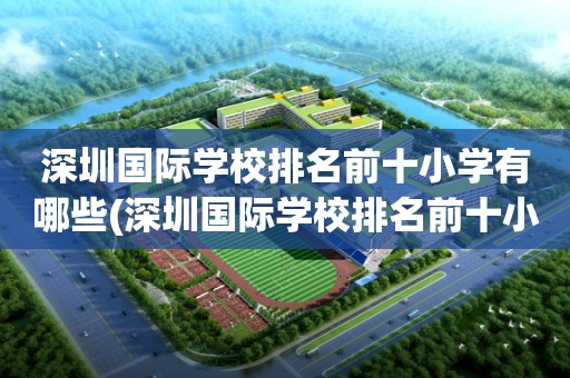 深圳国际学校排名前十小学有哪些(深圳国际学校排名前十小学有哪些名单)