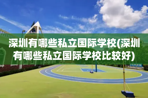 深圳有哪些私立国际学校(深圳有哪些私立国际学校比较好)