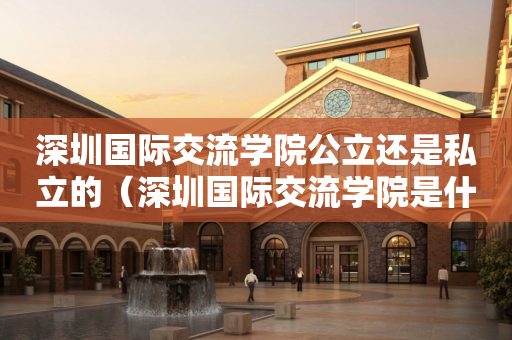 深圳国际交流学院公立还是私立的（深圳国际交流学院是什么体系）