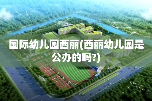 国际幼儿园西丽(西丽幼儿园是公办的吗?)