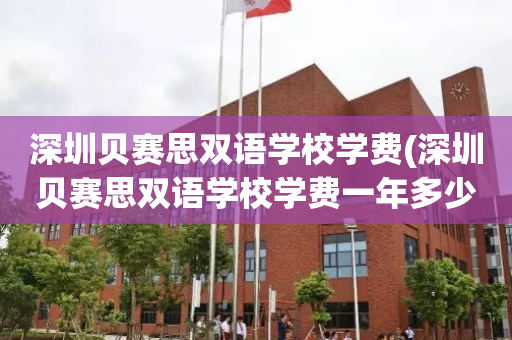 深圳贝赛思双语学校学费(深圳贝赛思双语学校学费一年多少)