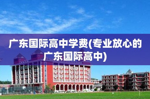 广东国际高中学费(专业放心的广东国际高中)