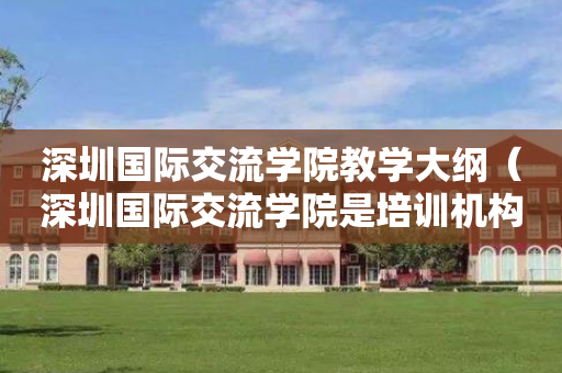 深圳国际交流学院教学大纲（深圳国际交流学院是培训机构吗）