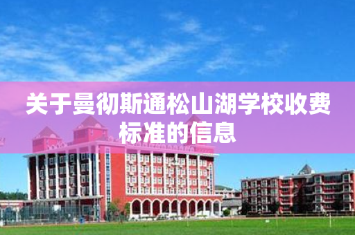 关于曼彻斯通松山湖学校收费标准的信息