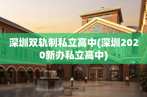 深圳双轨制私立高中(深圳2020新办私立高中)