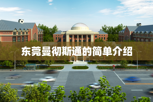 东莞曼彻斯通的简单介绍