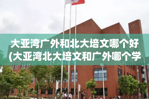大亚湾广外和北大培文哪个好(大亚湾北大培文和广外哪个学校好)