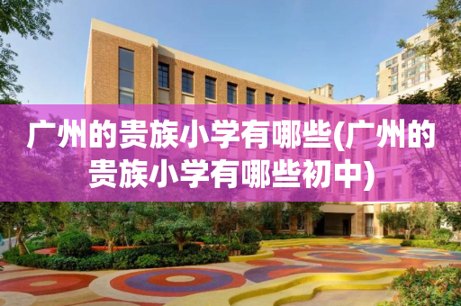 广州的贵族小学有哪些(广州的贵族小学有哪些初中)