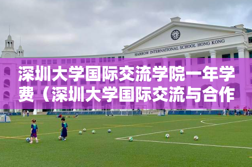 深圳大学国际交流学院一年学费（深圳大学国际交流与合作部）