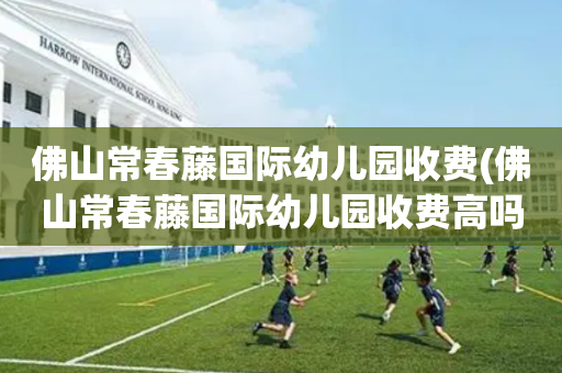 佛山常春藤国际幼儿园收费(佛山常春藤国际幼儿园收费高吗)