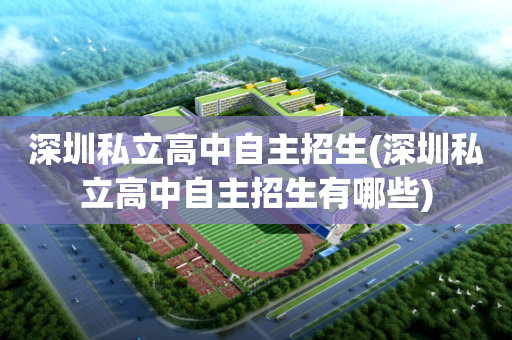 深圳私立高中自主招生(深圳私立高中自主招生有哪些)