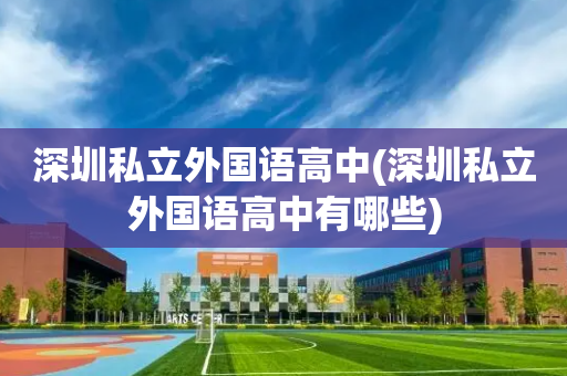 深圳私立外国语高中(深圳私立外国语高中有哪些)