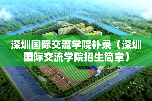 深圳国际交流学院补录（深圳国际交流学院招生简章）