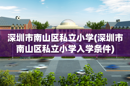 深圳市南山区私立小学(深圳市南山区私立小学入学条件)