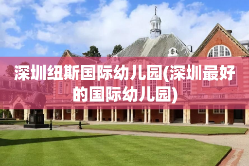 深圳纽斯国际幼儿园(深圳最好的国际幼儿园)