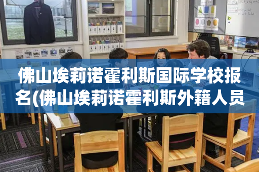 佛山埃莉诺霍利斯国际学校报名(佛山埃莉诺霍利斯外籍人员子女学校)