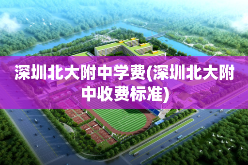 深圳北大附中学费(深圳北大附中收费标准)