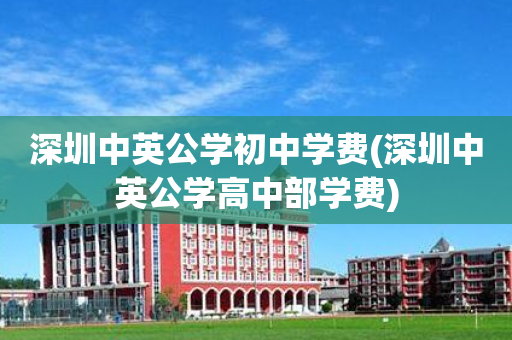 深圳中英公学初中学费(深圳中英公学高中部学费)