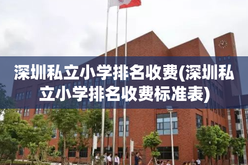深圳私立小学排名收费(深圳私立小学排名收费标准表)